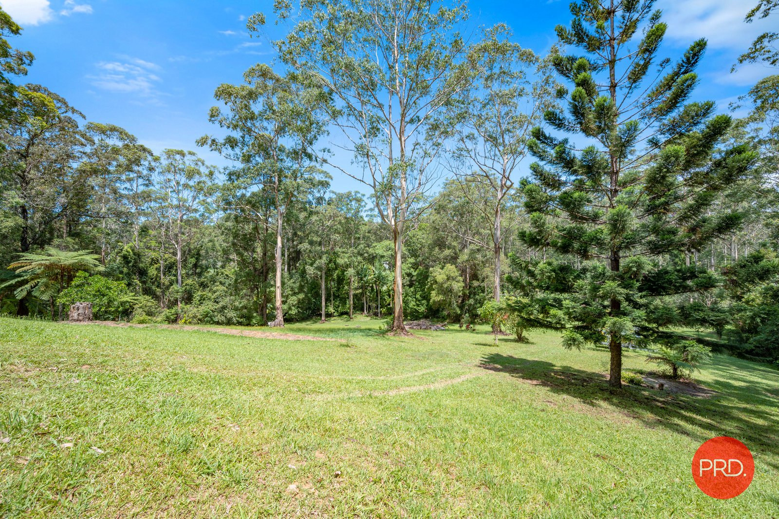 88 Forest Drive REPTON 24