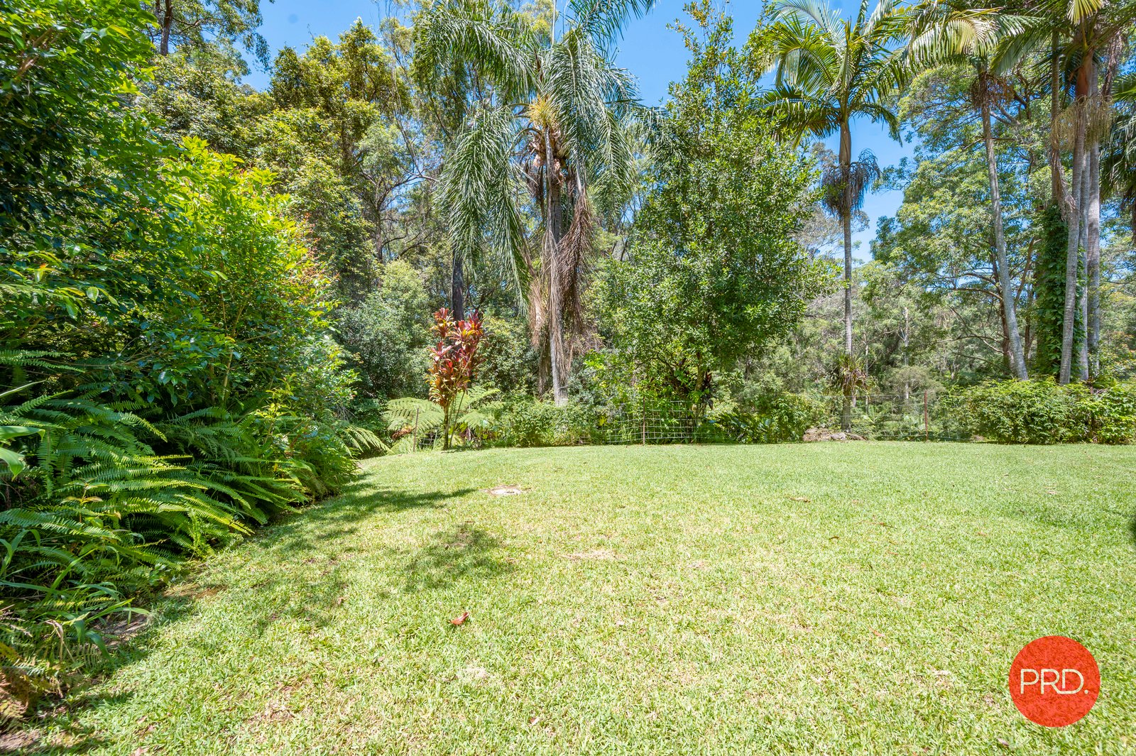 88 Forest Drive REPTON 29