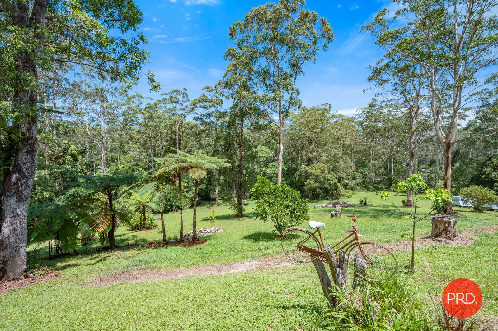 88 Forest Drive REPTON 31