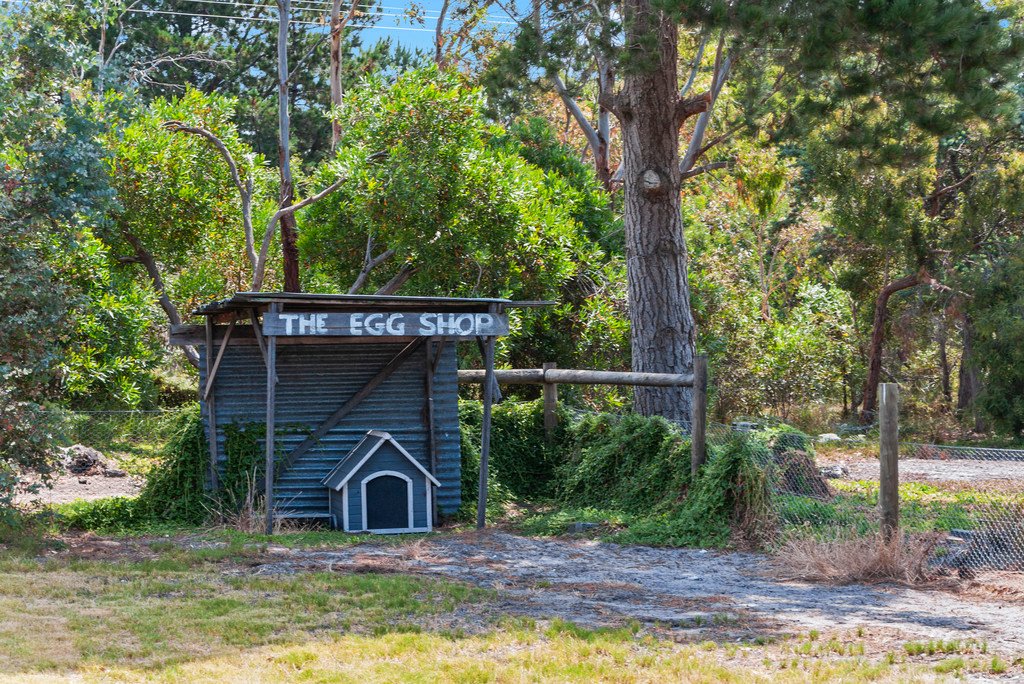 88 Honeywood Drive SANDFORD 18