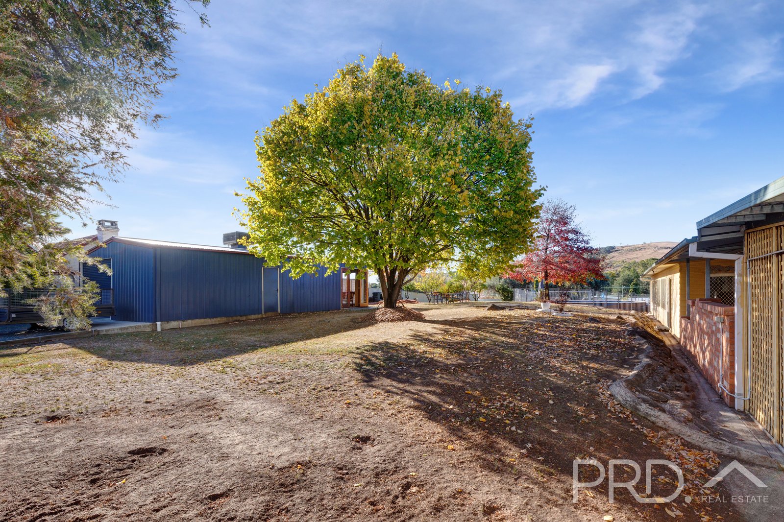 88 Lockhart Street ADELONG 21