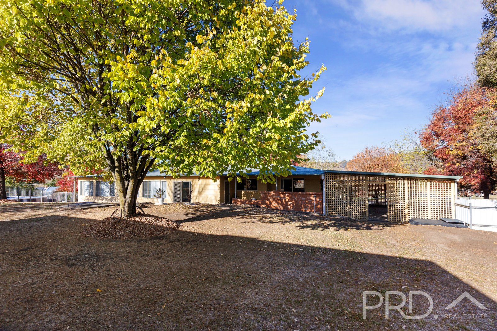 88 Lockhart Street ADELONG 24