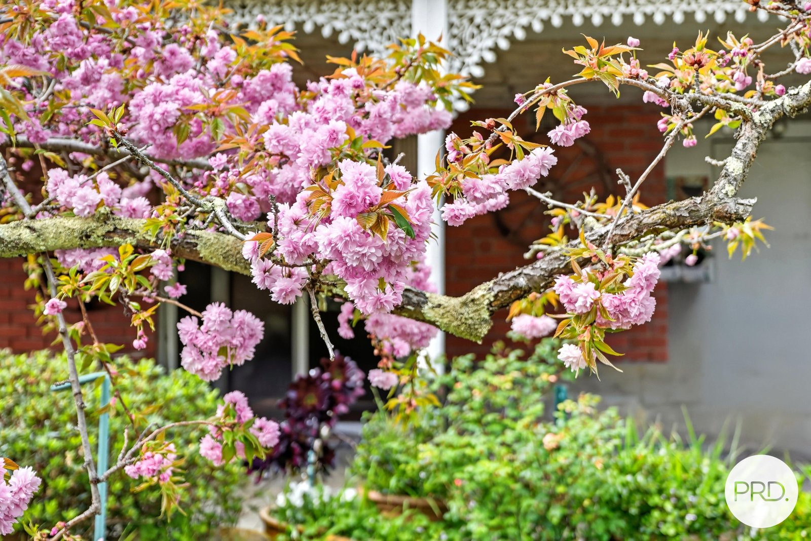 88 Millvale Road DROMEDARY 24