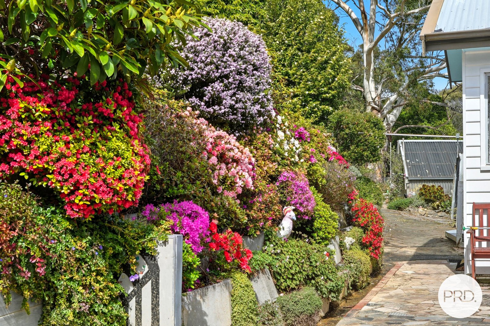 88 Millvale Road DROMEDARY 29