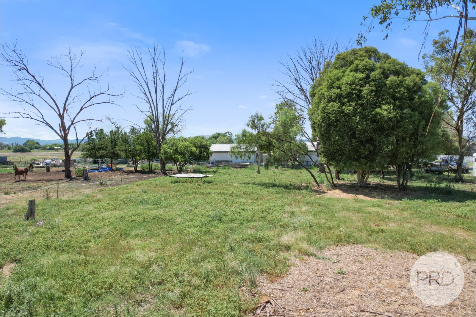 88 Milner Parade QUIRINDI 16