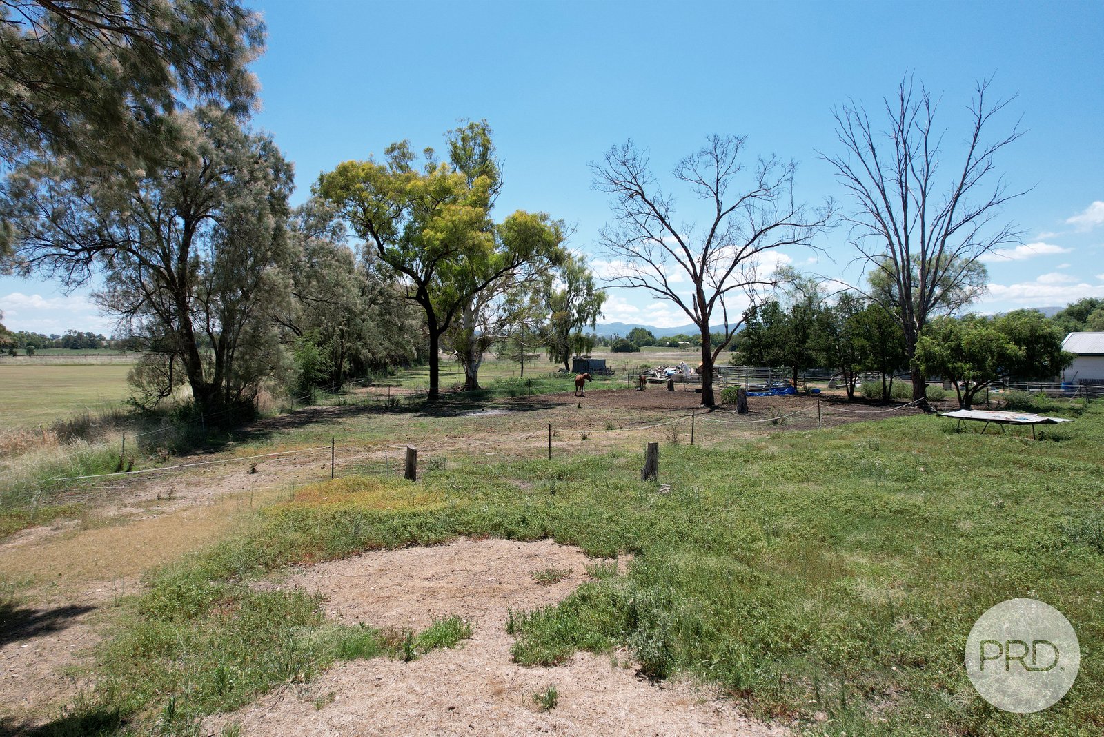 88 Milner Parade QUIRINDI 18