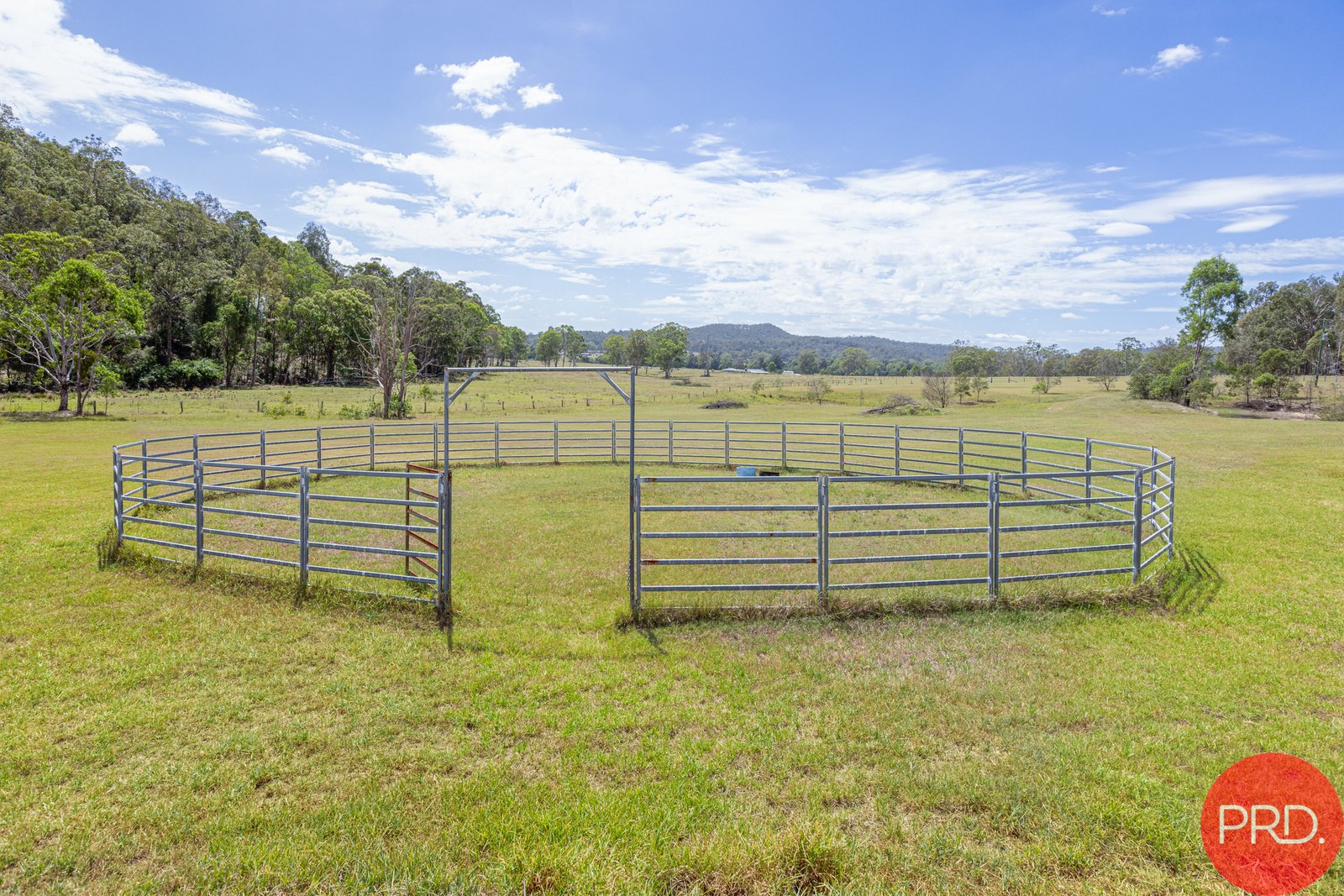 88 Quince Tree Lane CONGEWAI 28