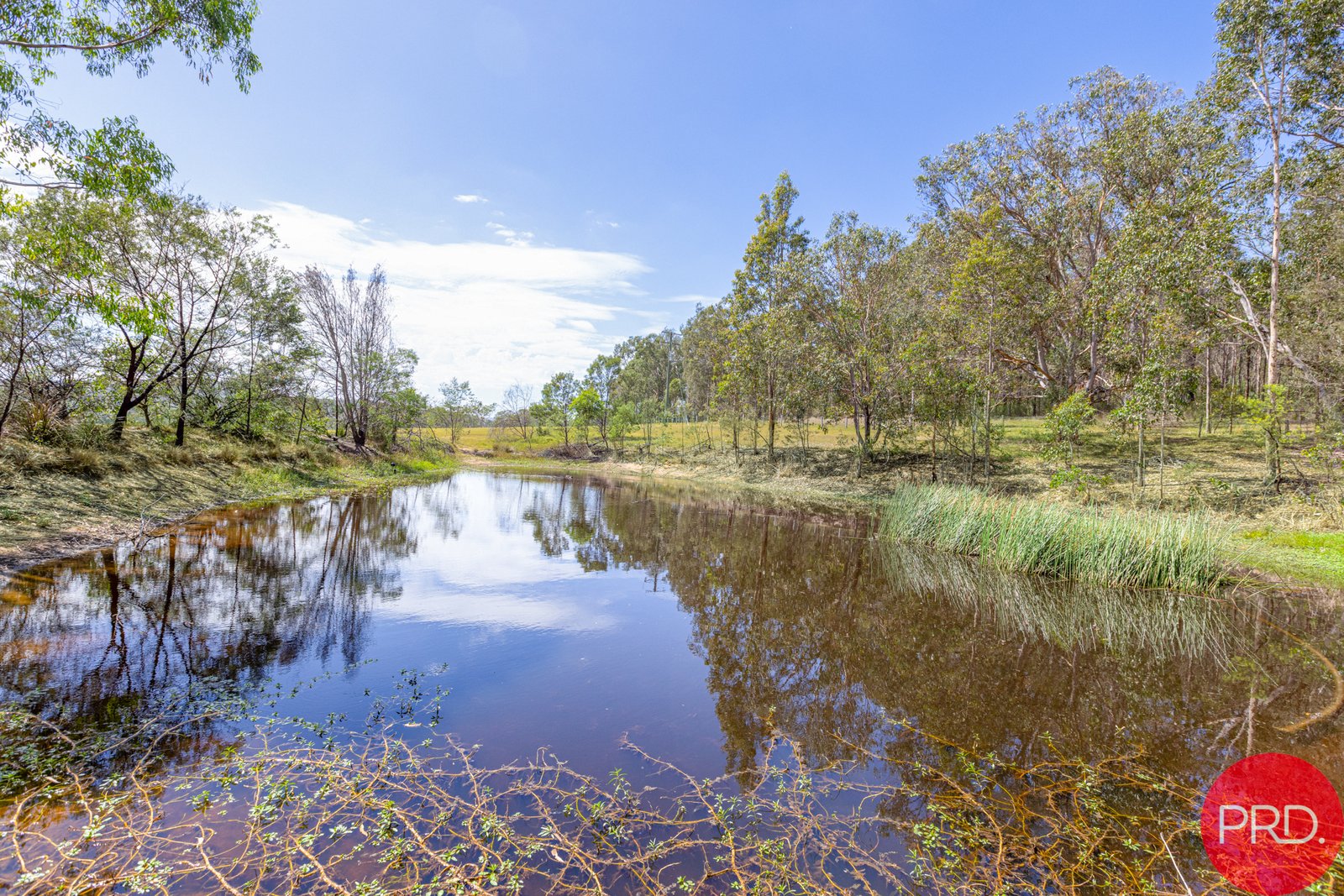88 Quince Tree Lane CONGEWAI 34