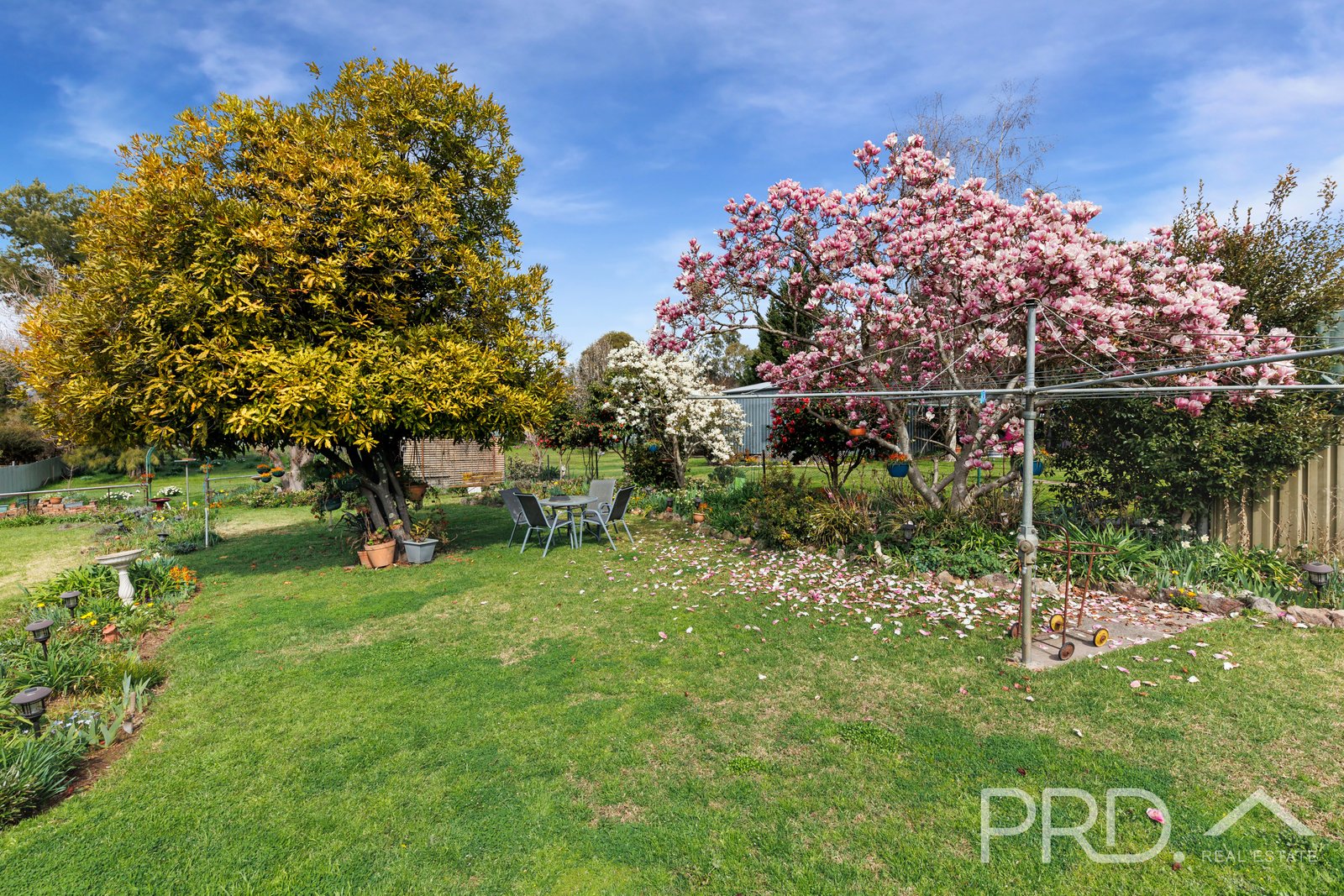 88 Sydney Street TUMUT 17