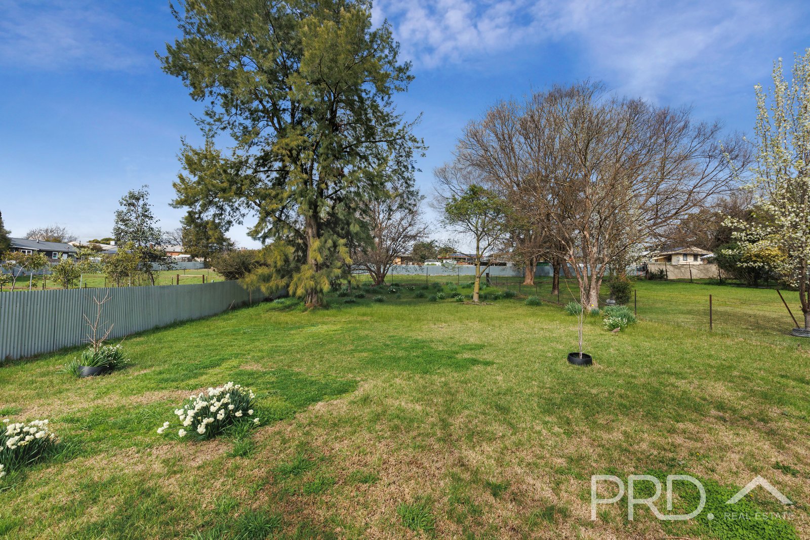 88 Sydney Street TUMUT 20