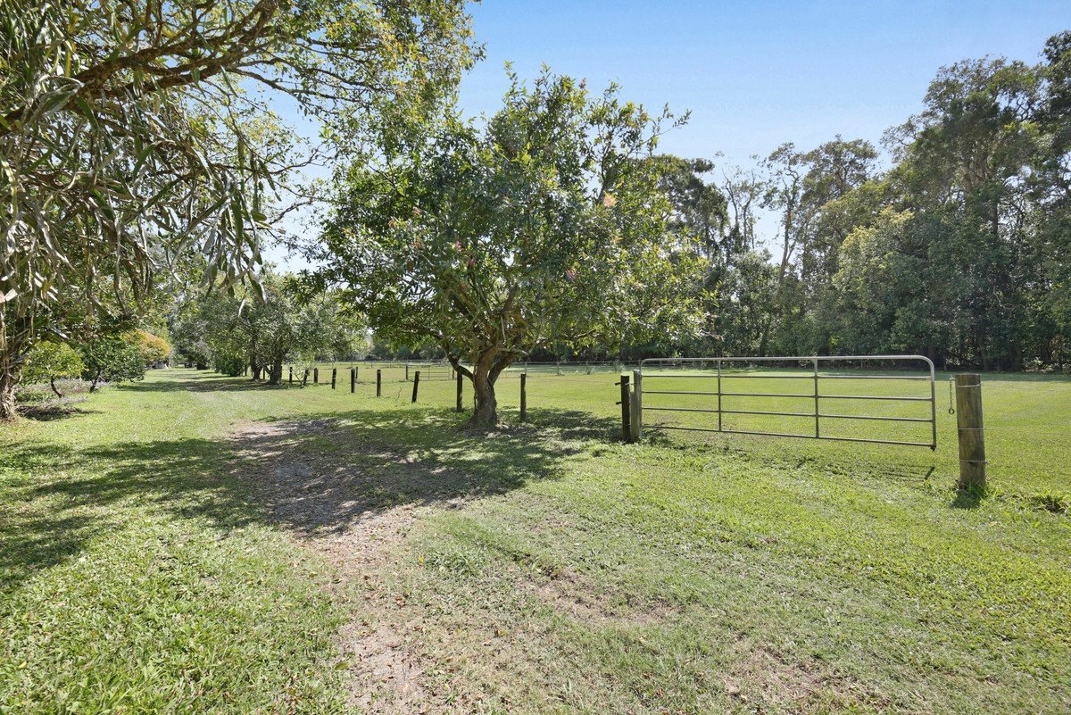 88 Valley Drive Tallebudgera 16