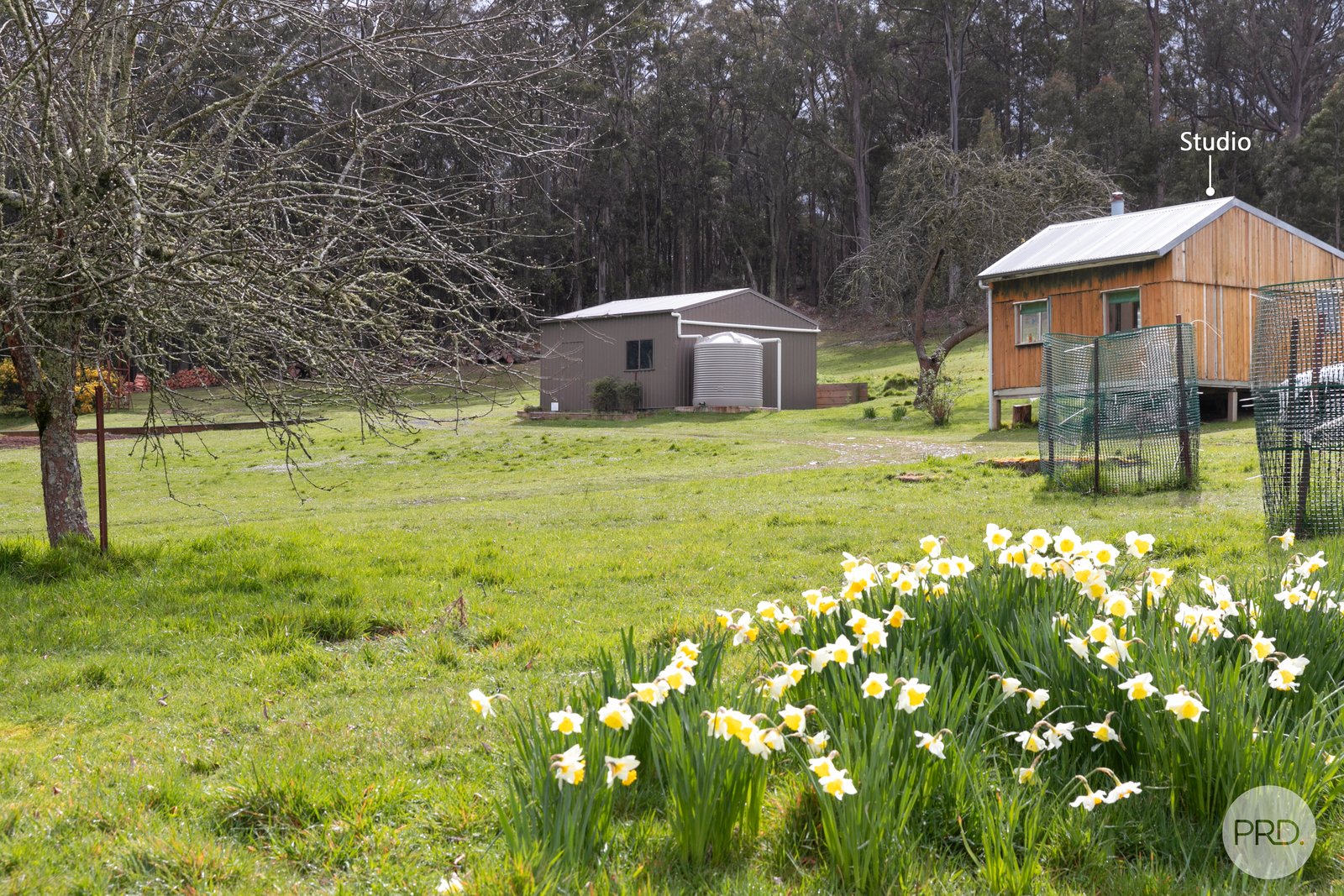 880 Spargo Creek Road BOLWARRAH 16
