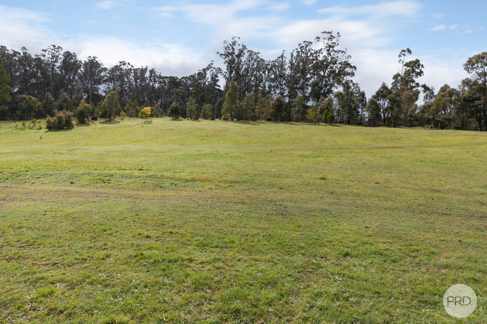 880 Spargo Creek Road BOLWARRAH 22