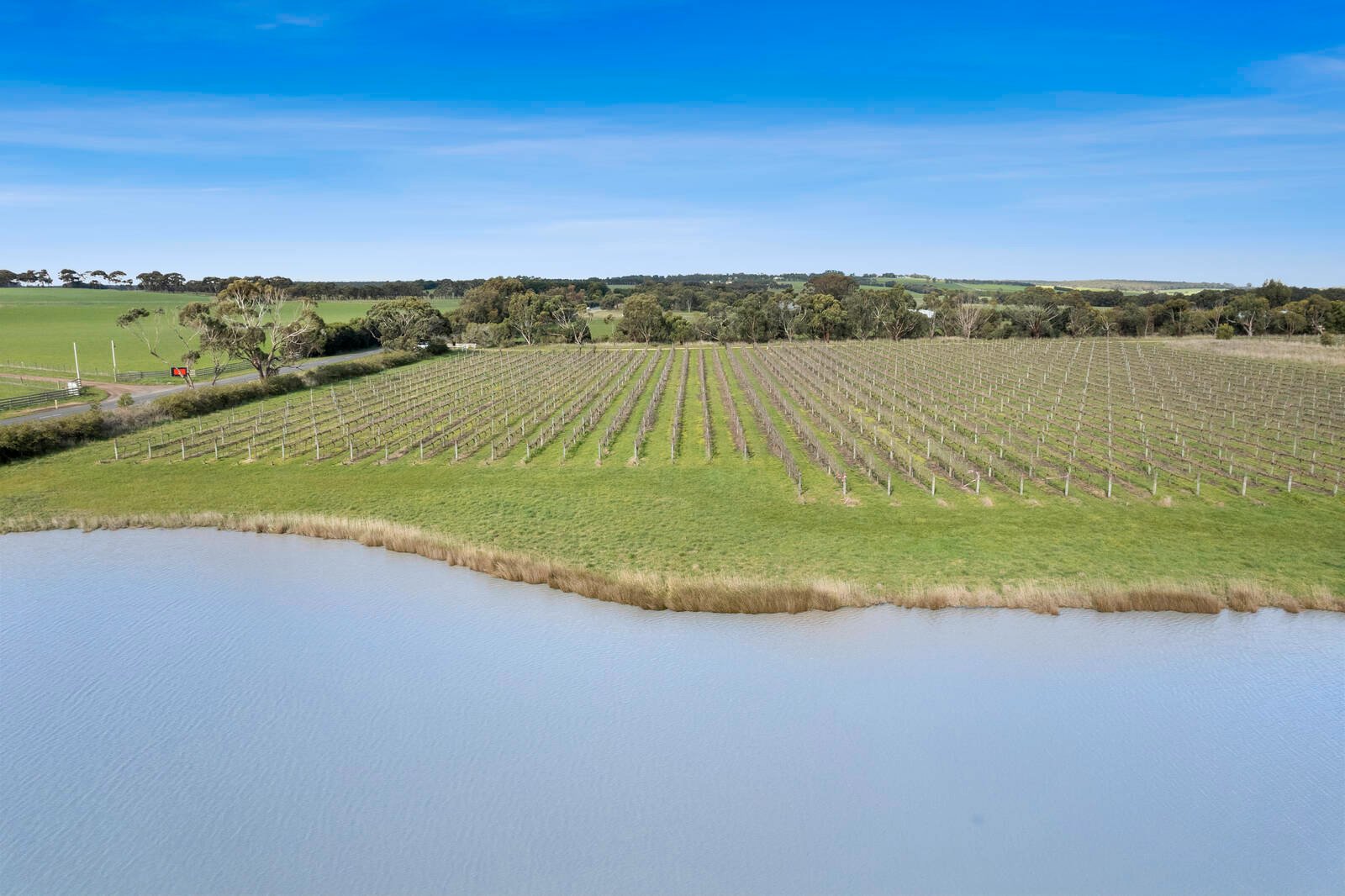 Real Estate and Property in 880 Winchelsea-Deans Marsh Road, Winchelsea South, VIC