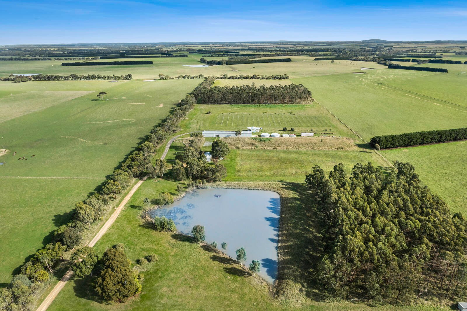 Real Estate and Property in 880 Winchelsea-Deans Marsh Road, Winchelsea South, VIC