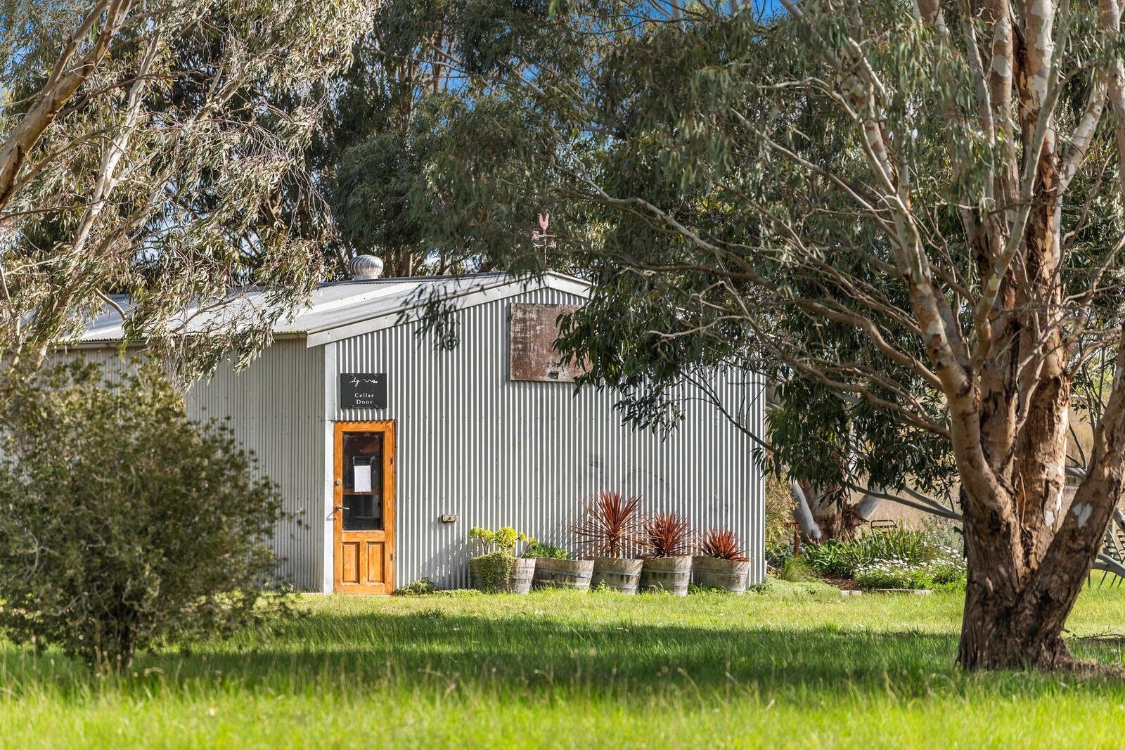 Real Estate and Property in 880 Winchelsea-Deans Marsh Road, Winchelsea South, VIC