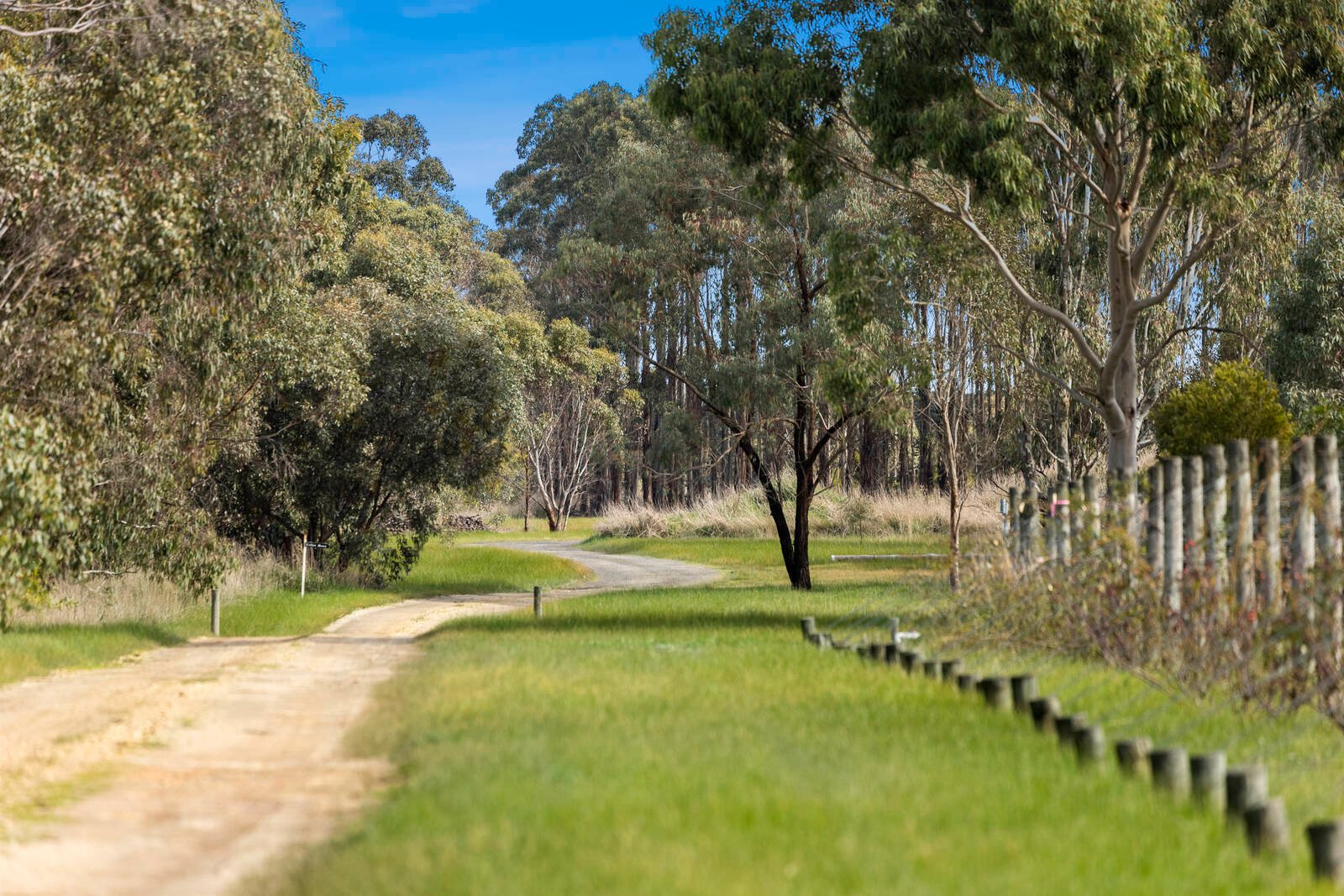Real Estate and Property in 880 Winchelsea-Deans Marsh Road, Winchelsea South, VIC