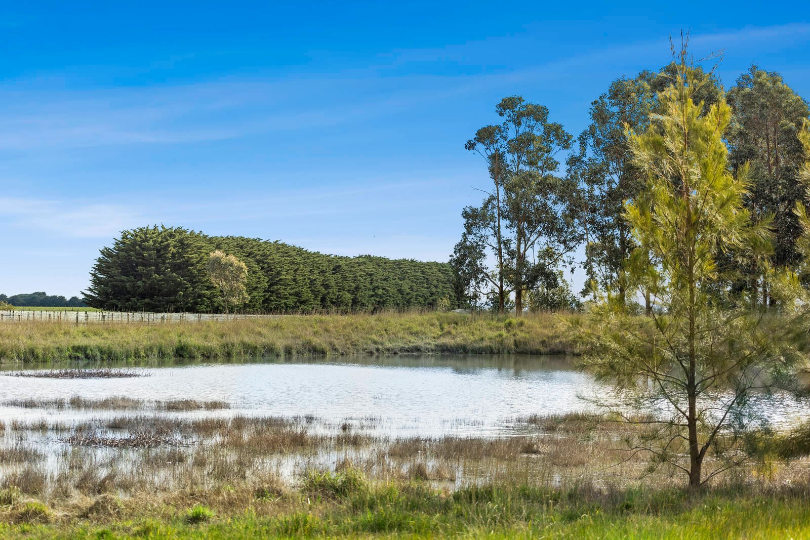Real Estate and Property in 880 Winchelsea-Deans Marsh Road, Winchelsea South, VIC