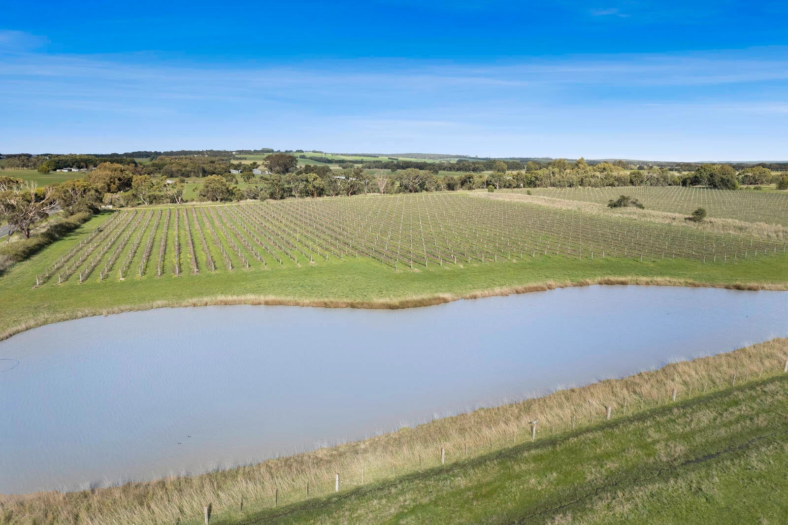 Real Estate and Property in 880 Winchelsea-Deans Marsh Road, Winchelsea South, VIC