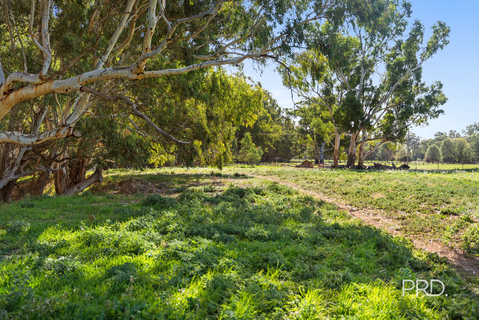 8885 Tumbarumba Road LADYSMITH 17