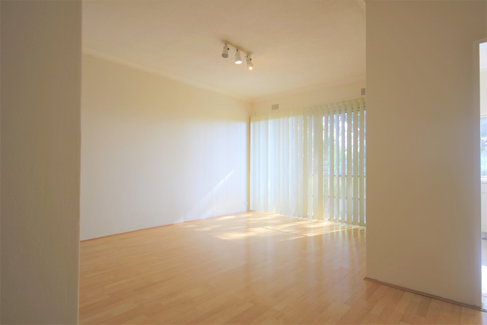 8/9-11 Argyle Street CARLTON 5