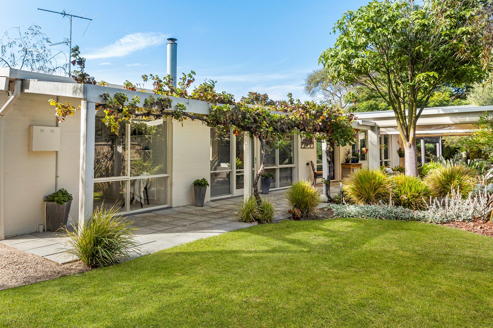 Gallery: 89 Cook Street