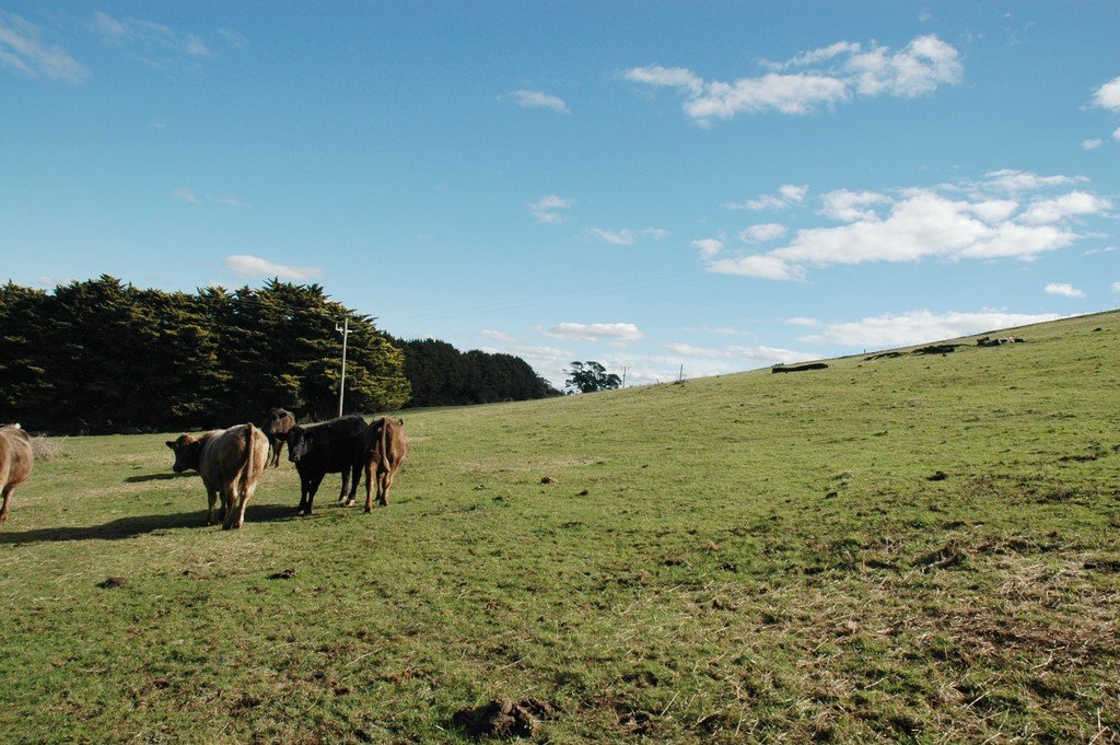 89 Lohs Lane MYRNIONG 14