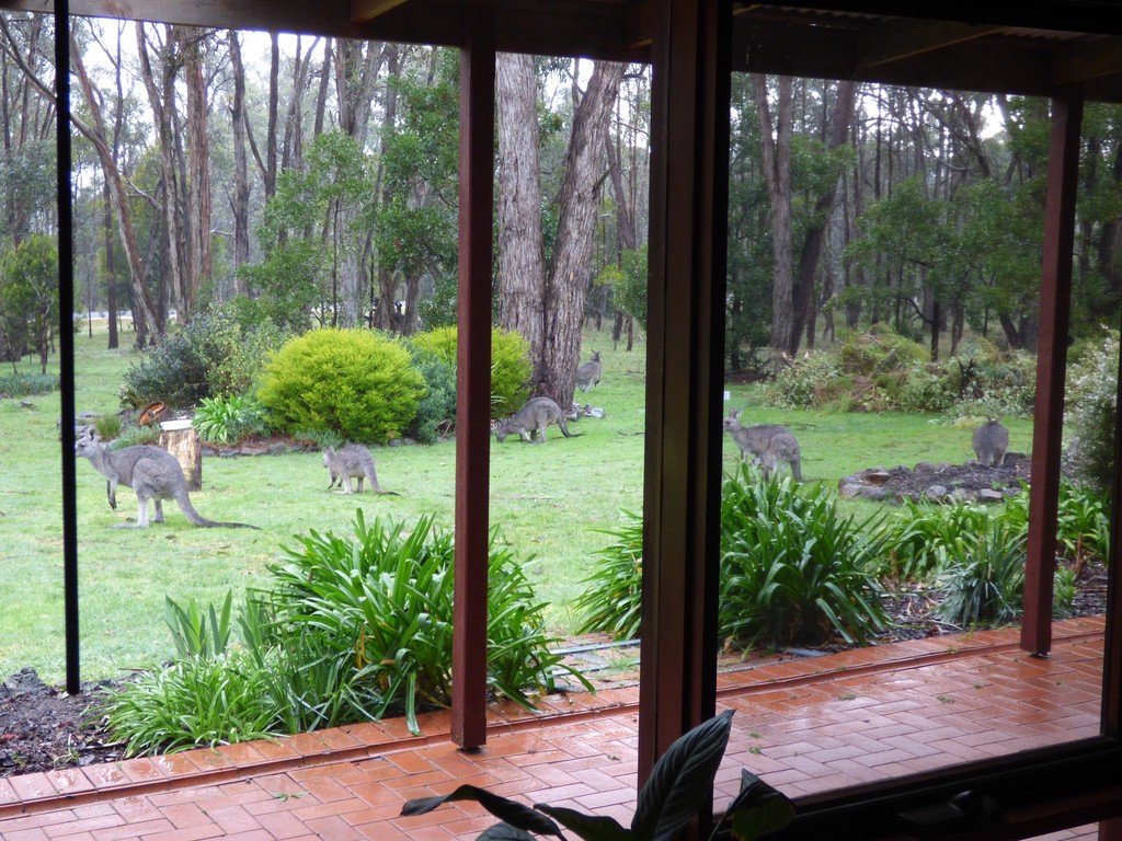 89 Nintingbool Road NINTINGBOOL 18