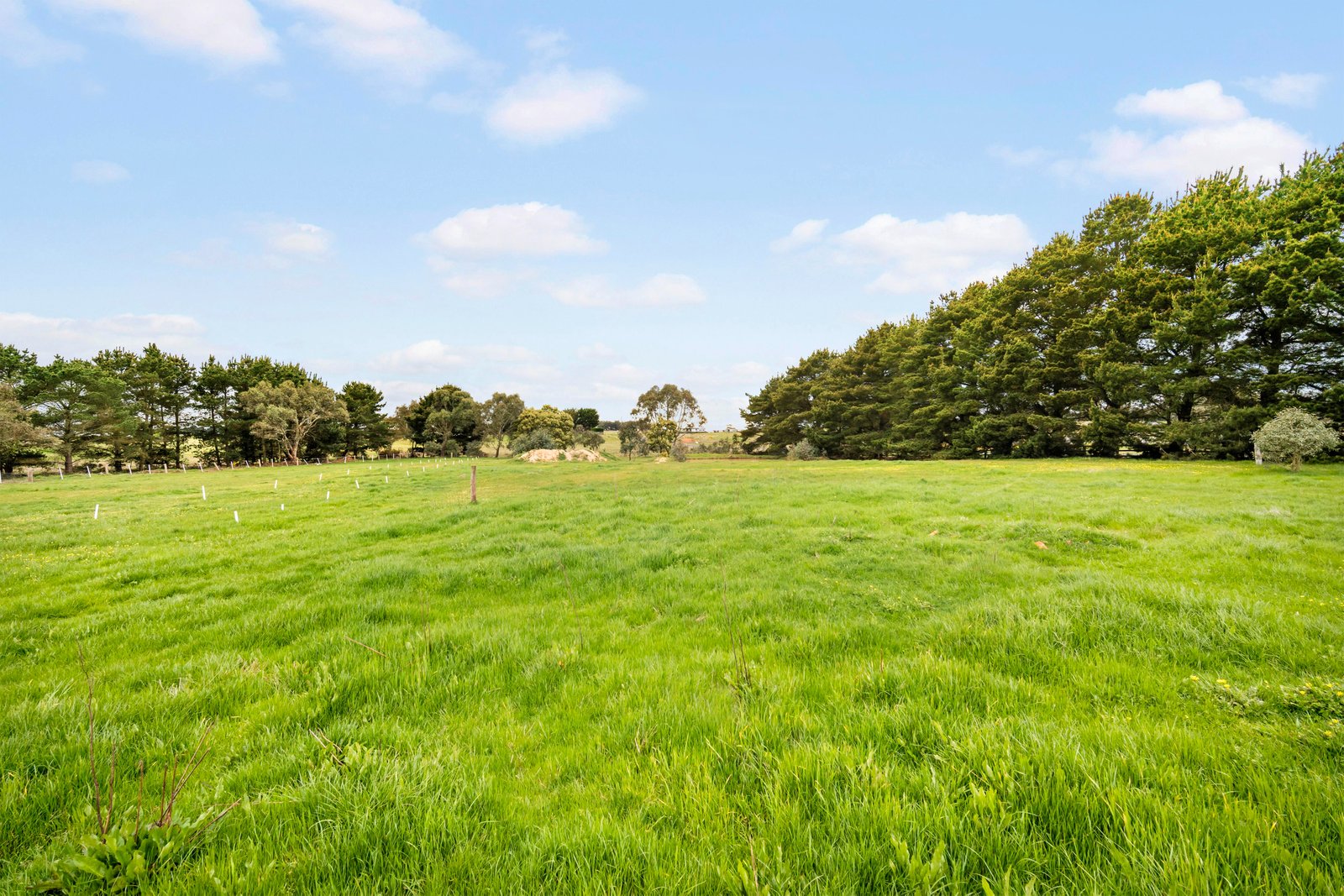 89 Nunns Road SNAKE VALLEY 8