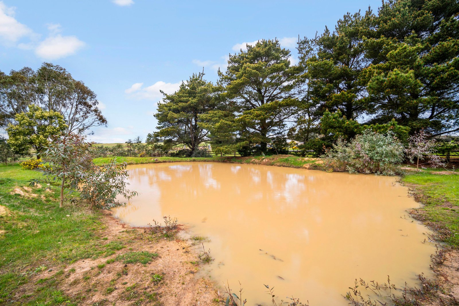 89 Nunns Road SNAKE VALLEY 9