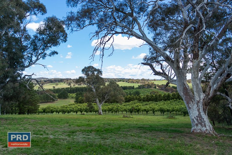 89 Pollack Road HOSKINSTOWN 6