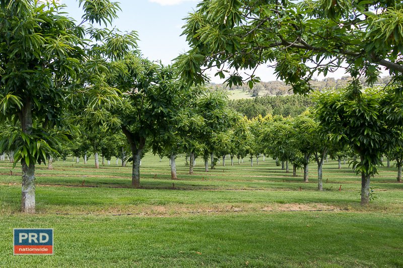 89 Pollack Road HOSKINSTOWN 12