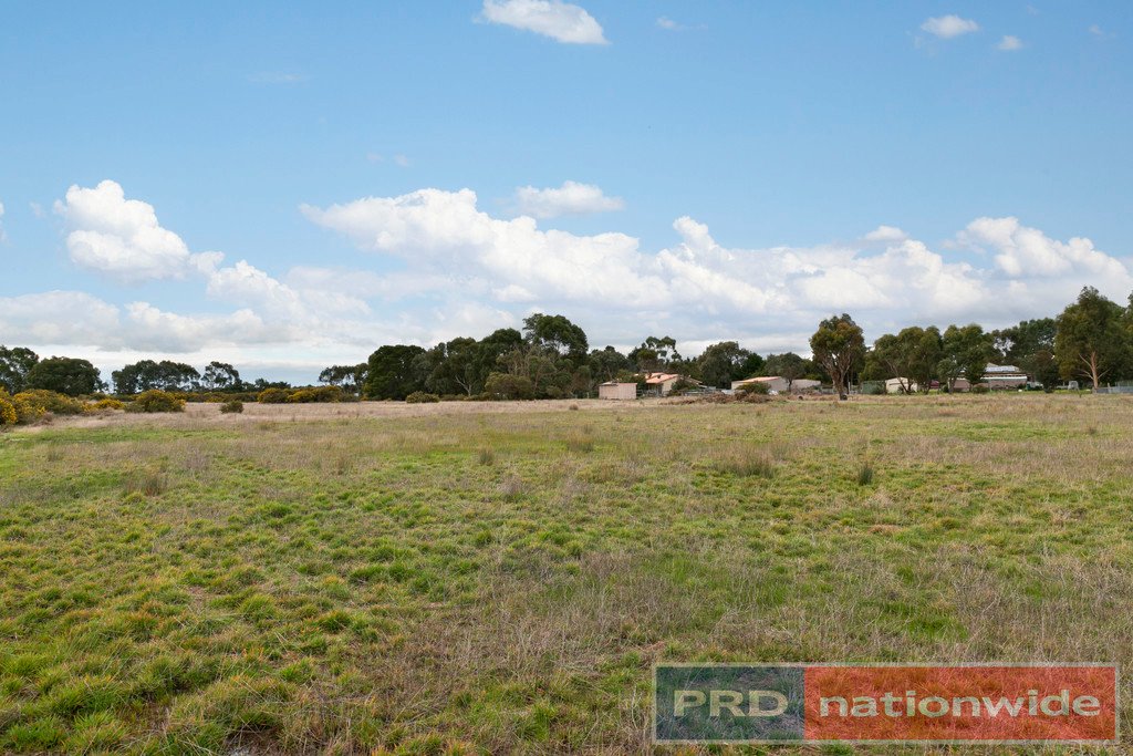 89 Racecourse Road HADDON 13
