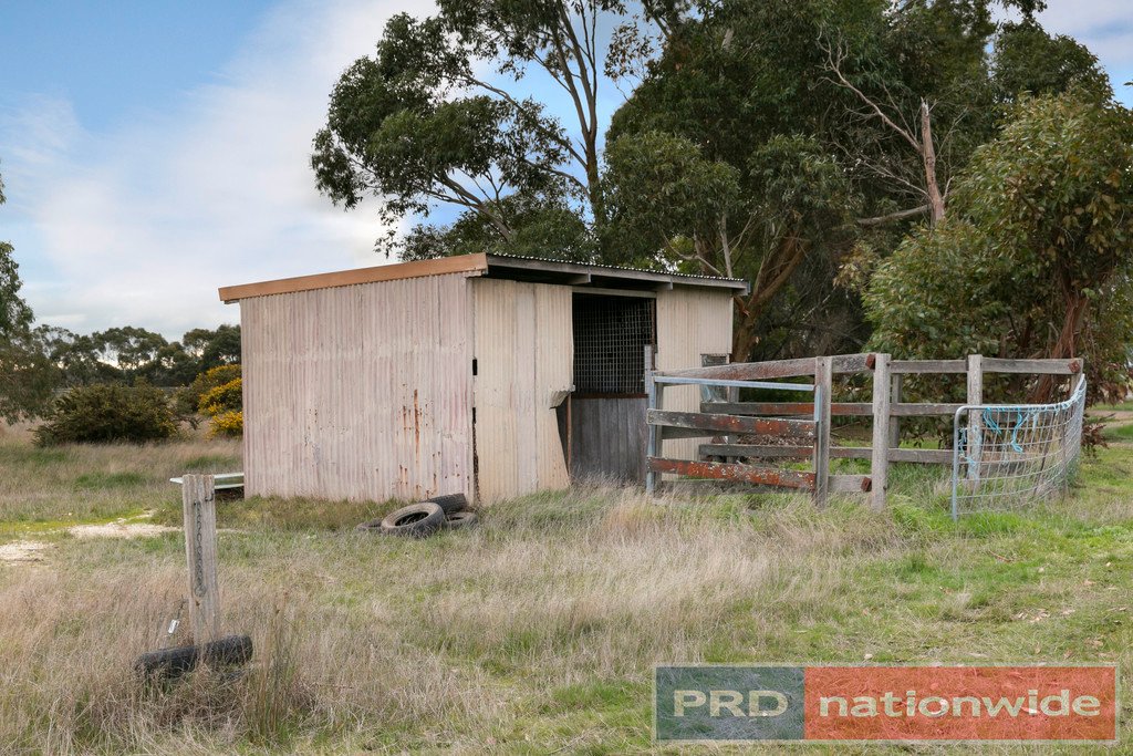 89 Racecourse Road HADDON 16