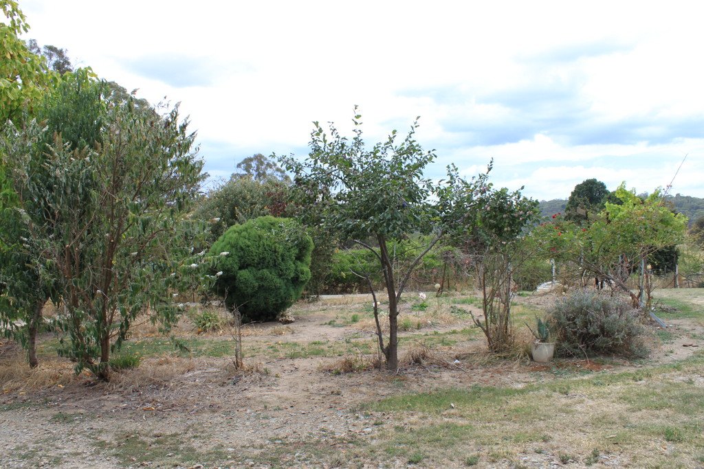 892 Courabyra Road TUMBARUMBA 4