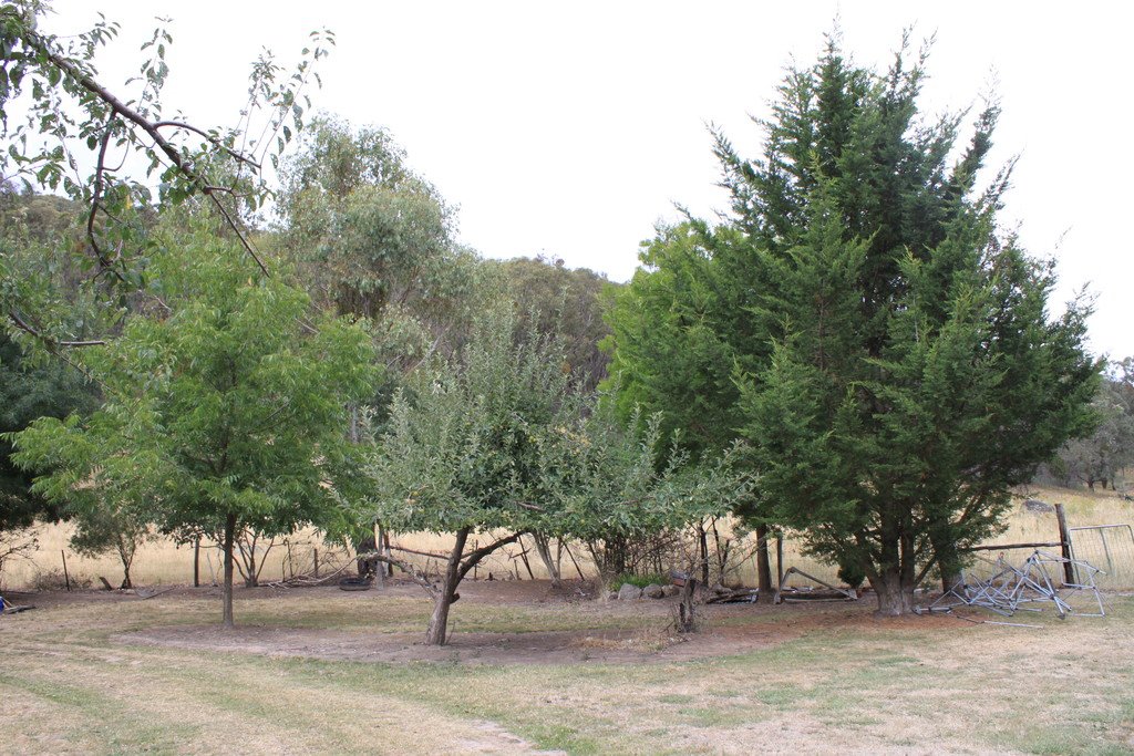 892 Courabyra Road TUMBARUMBA 5