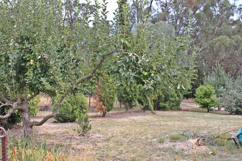 892 Courabyra Road TUMBARUMBA 6