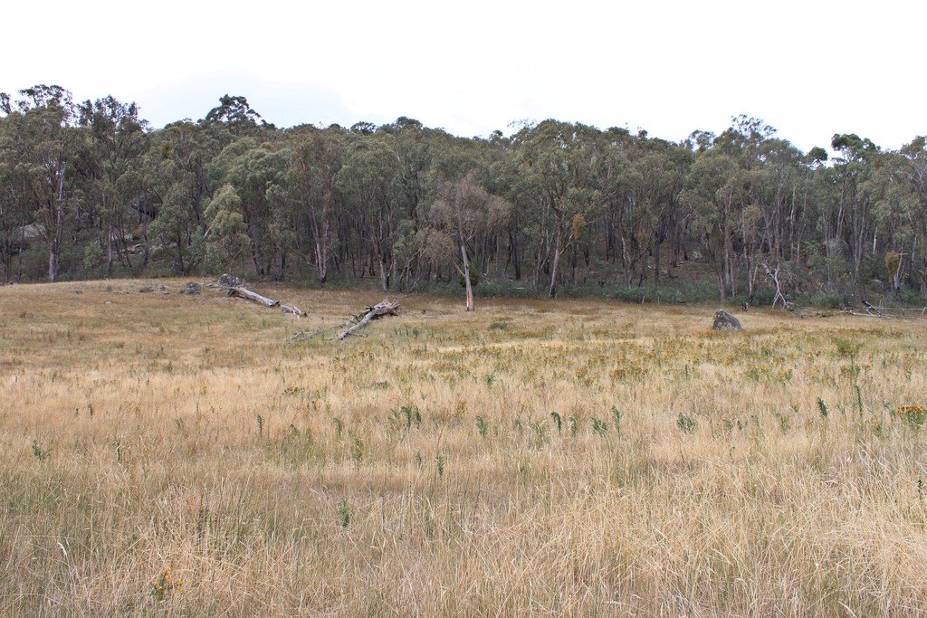 892 Courabyra Road TUMBARUMBA 8