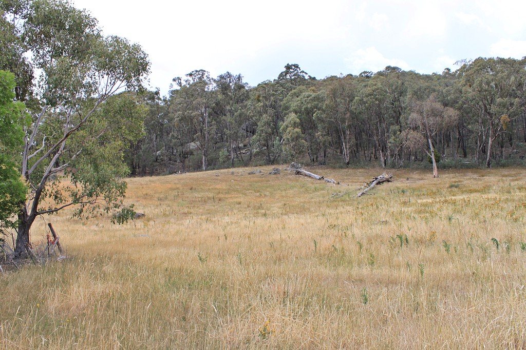 892 Courabyra Road TUMBARUMBA 9