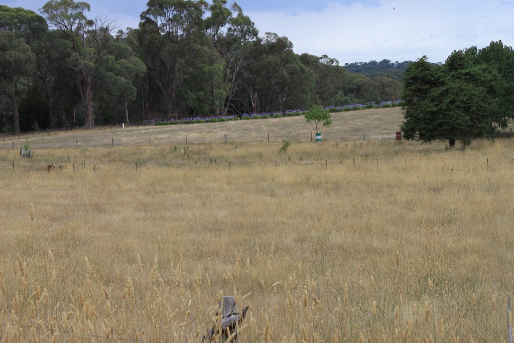 892 Courabyra Road TUMBARUMBA 10