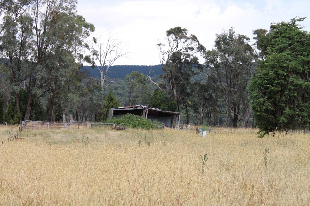 892 Courabyra Road TUMBARUMBA 11