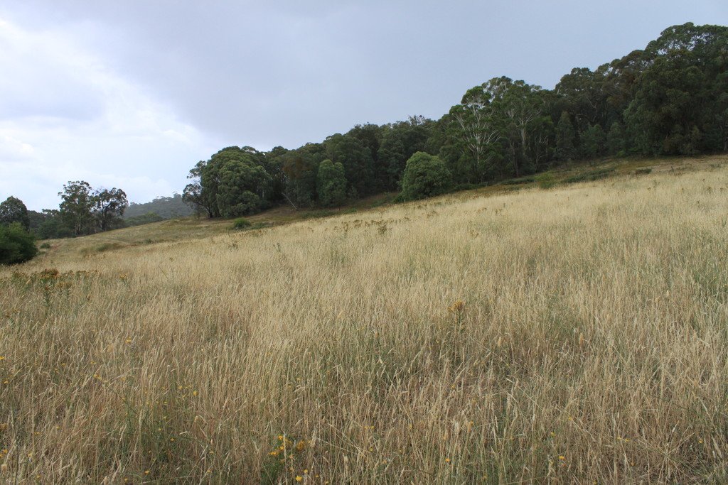 892 Courabyra Road TUMBARUMBA 12