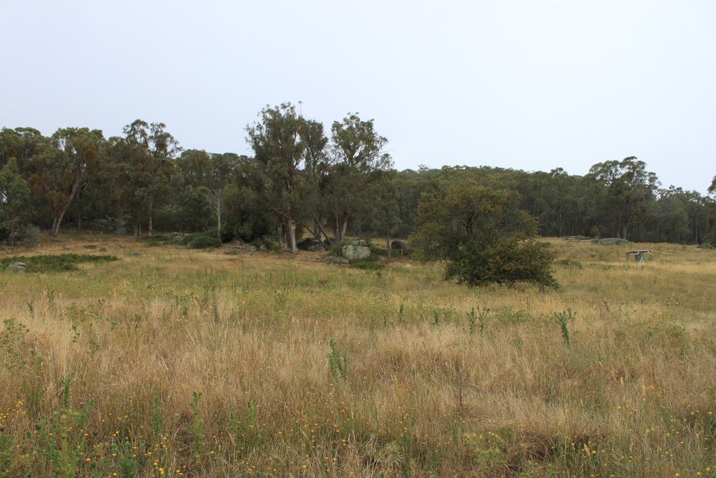 892 Courabyra Road TUMBARUMBA 13