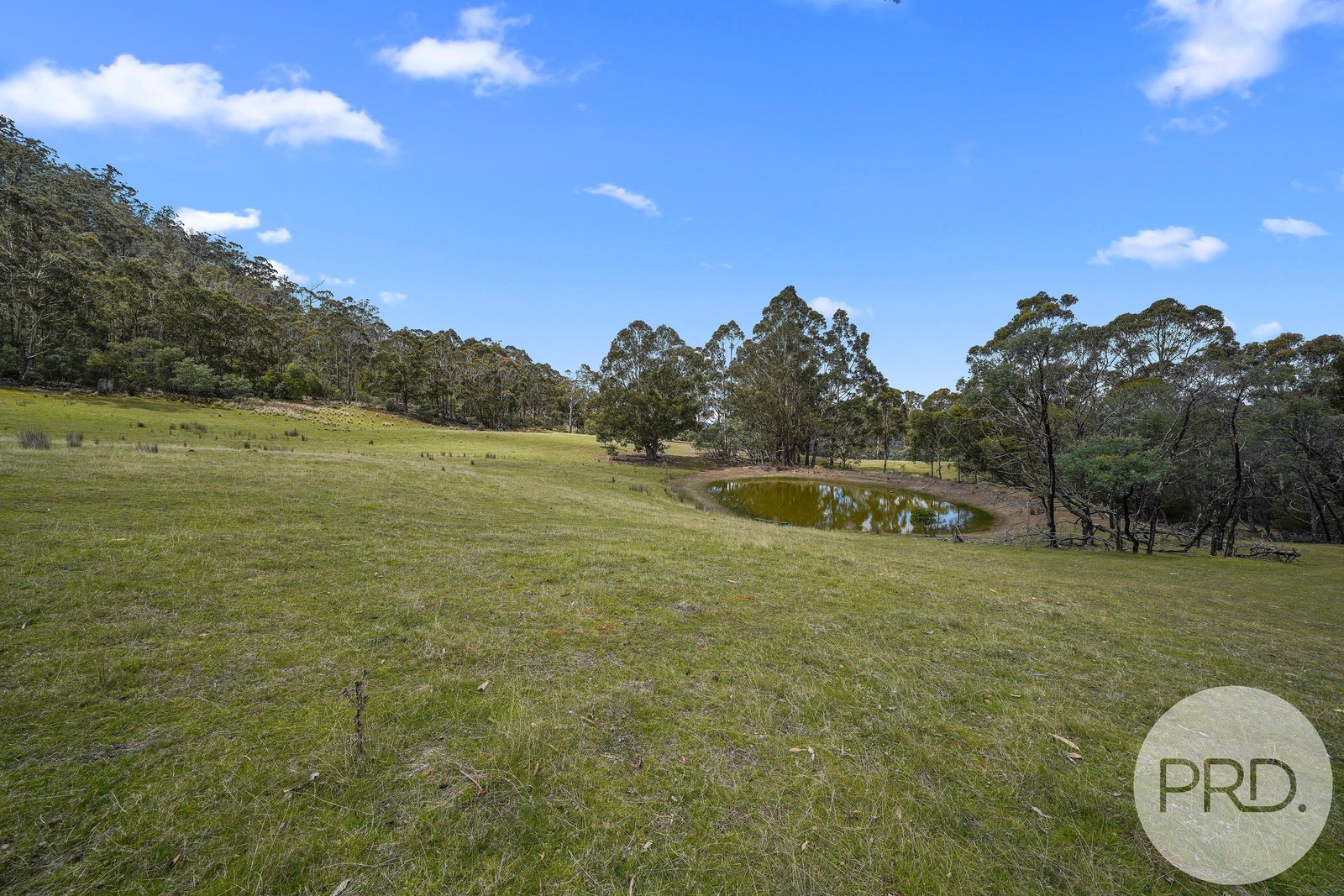 892 Native Corners Road CAMPANIA 10
