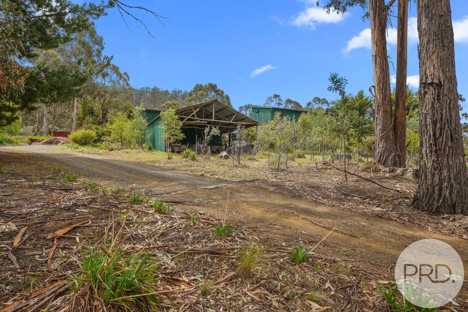 892 Native Corners Road CAMPANIA 11