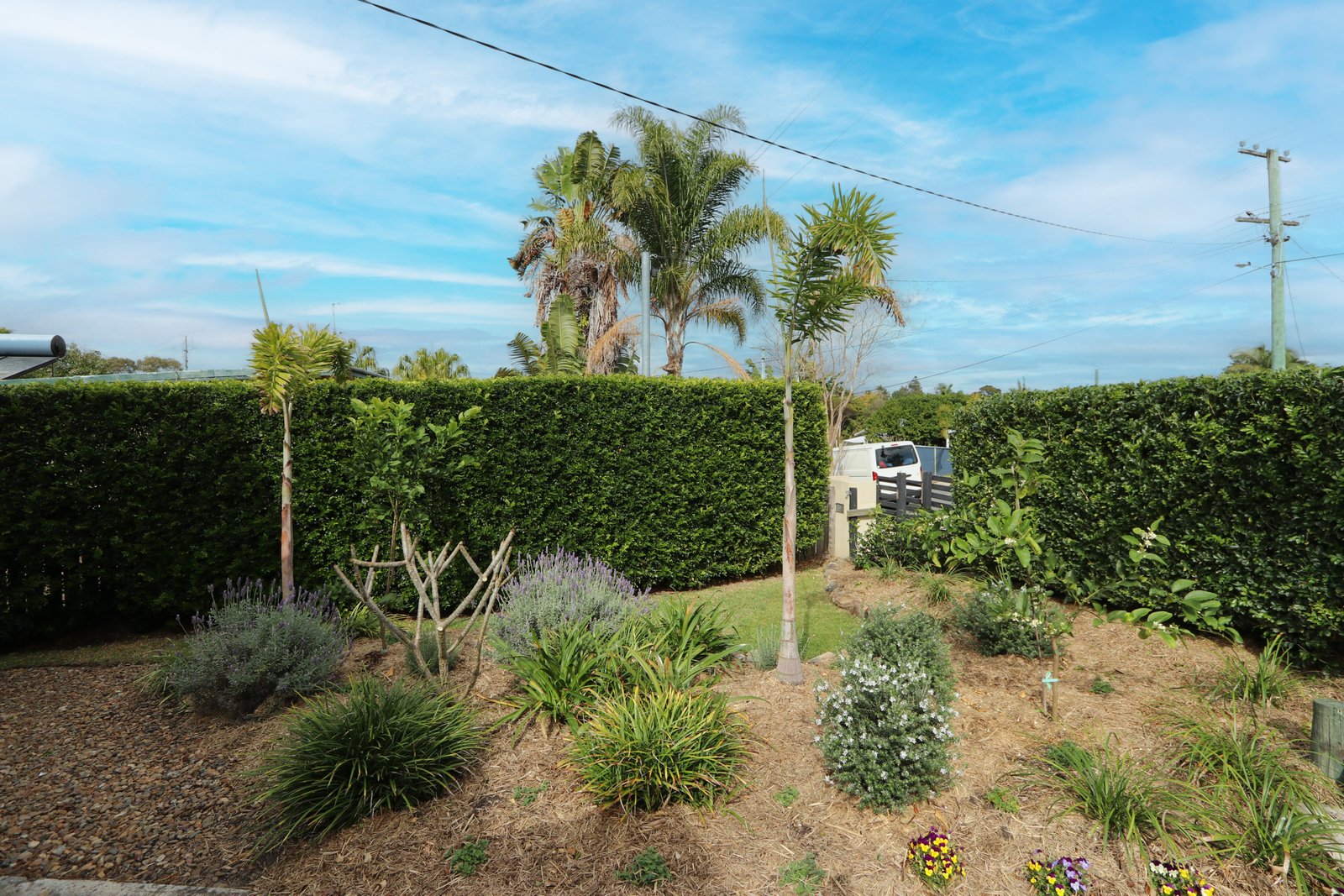 89B Turpin Road LABRADOR 15