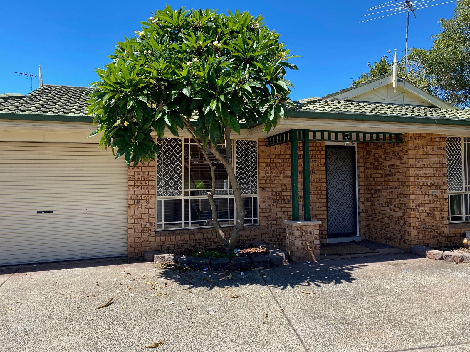 8A Mavis Avenue PEAKHURST 1