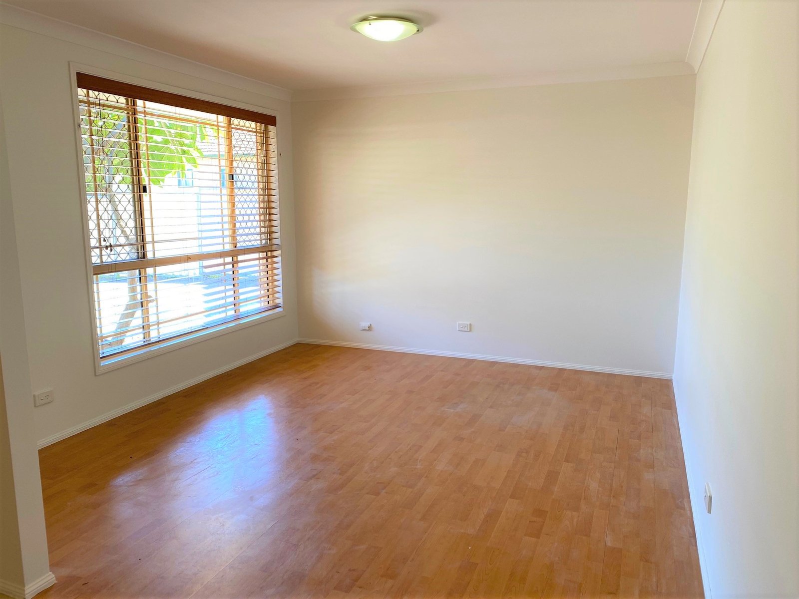 8A Mavis Avenue PEAKHURST 3