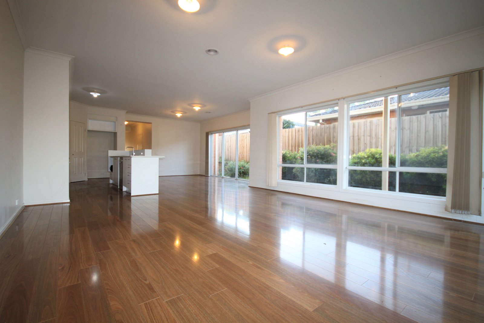 Gallery: 8A Wilson Street