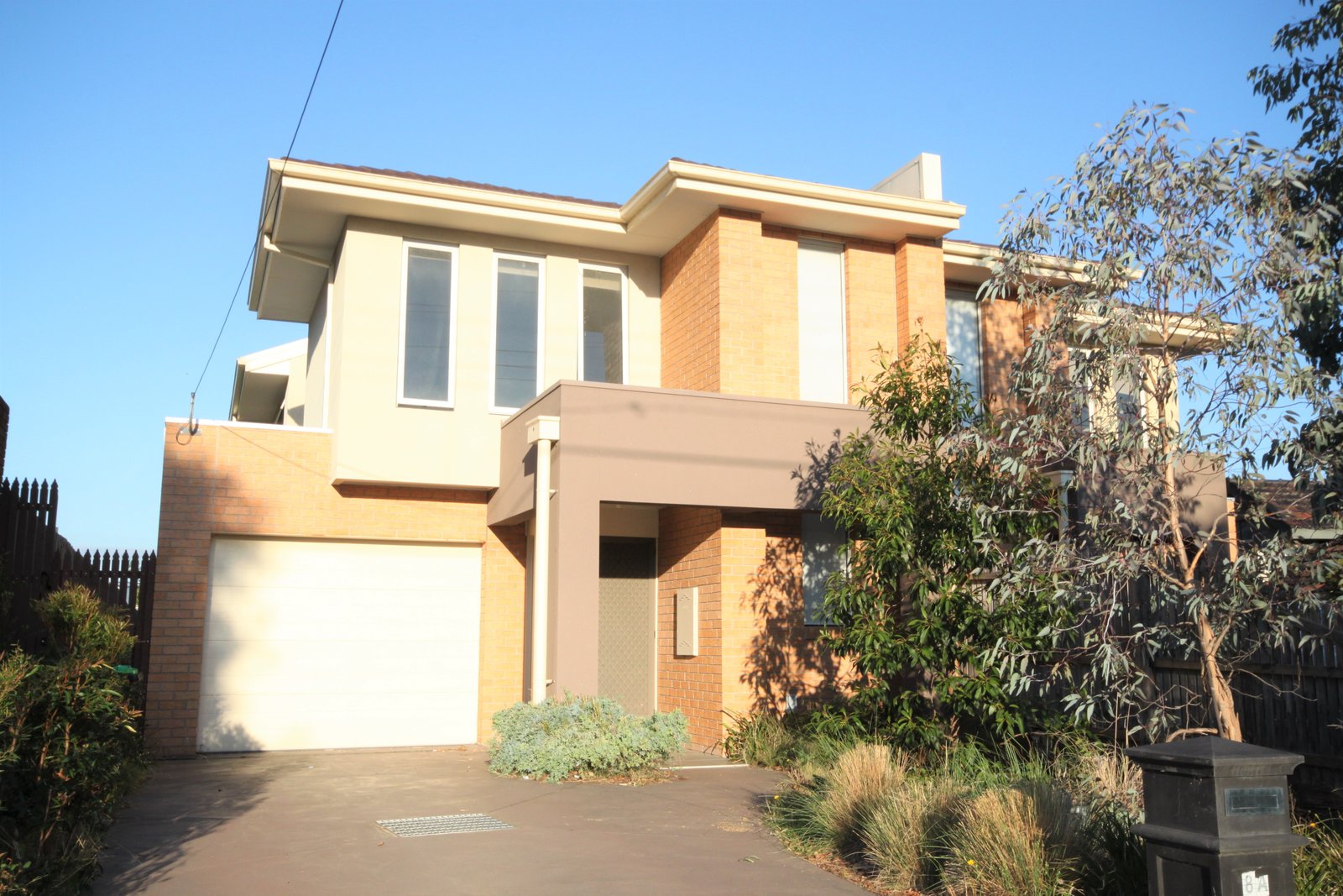 Gallery: 8A Wilson Street